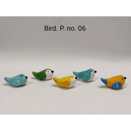 bird p no 6