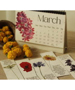 Plantable Marigold Seed Paper Floral 2023 Table Calendars