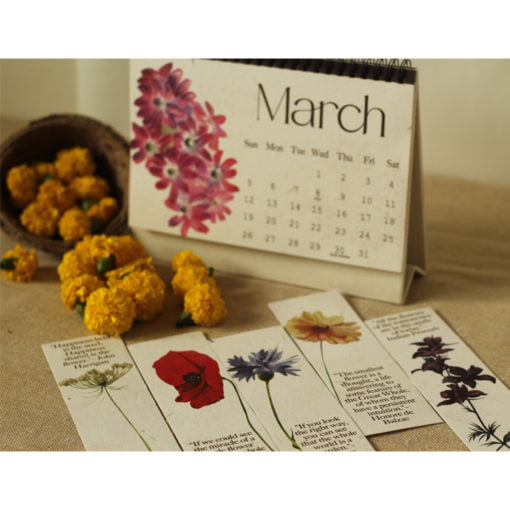 img20 Seed calendar and seed bookmarks