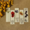 Plantable Marigold Seed Paper Bookmarks Set of 5
